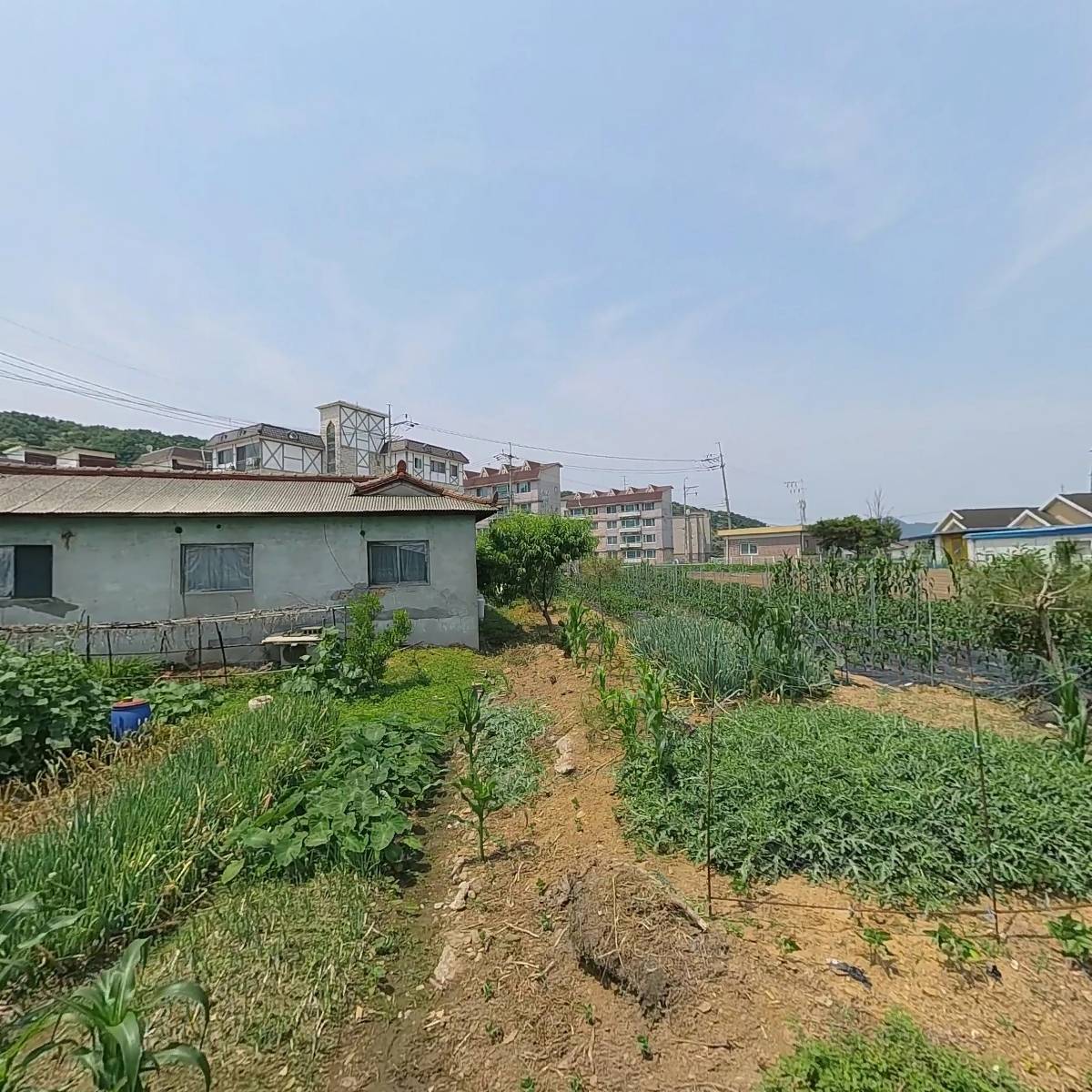 보우아트
