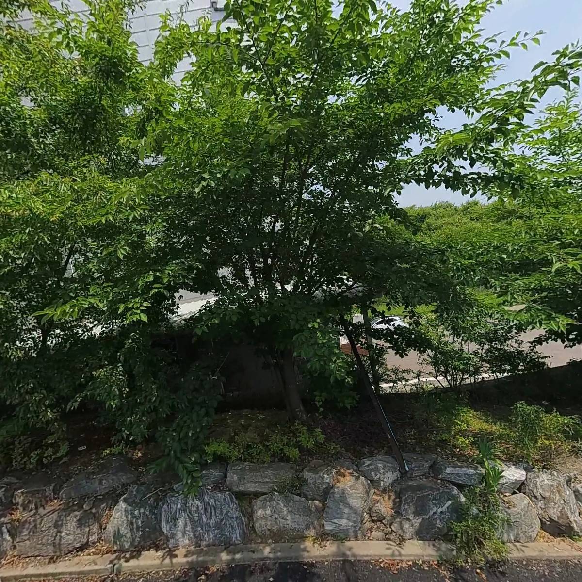 주식회사 에스앤피플러스(지점)