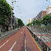 씨제이(CJ) 신장안 지엘에스(GLS)_2