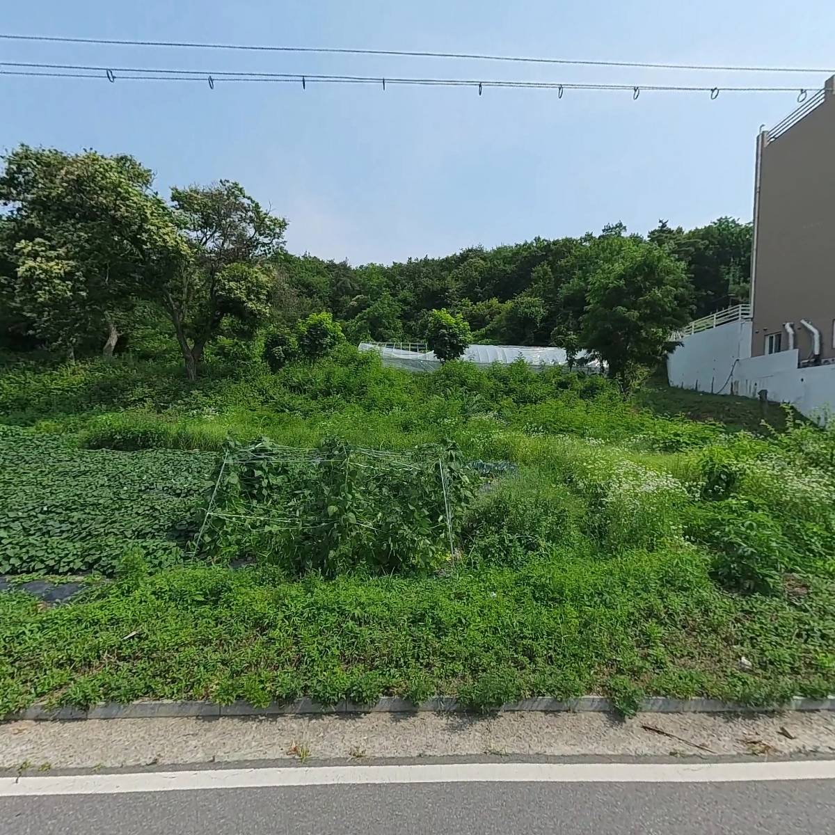 공방, 나무를 품다_3