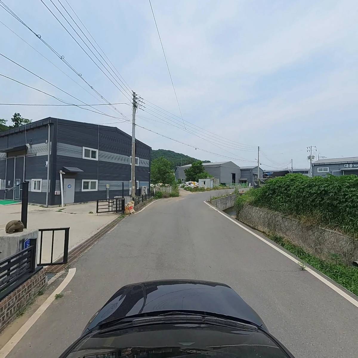 로뎀나무_4