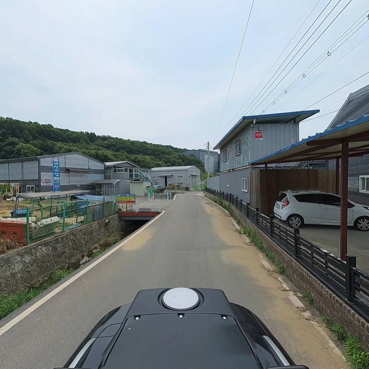 로뎀나무_2