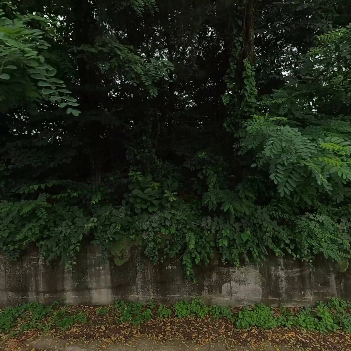 대성애드_3