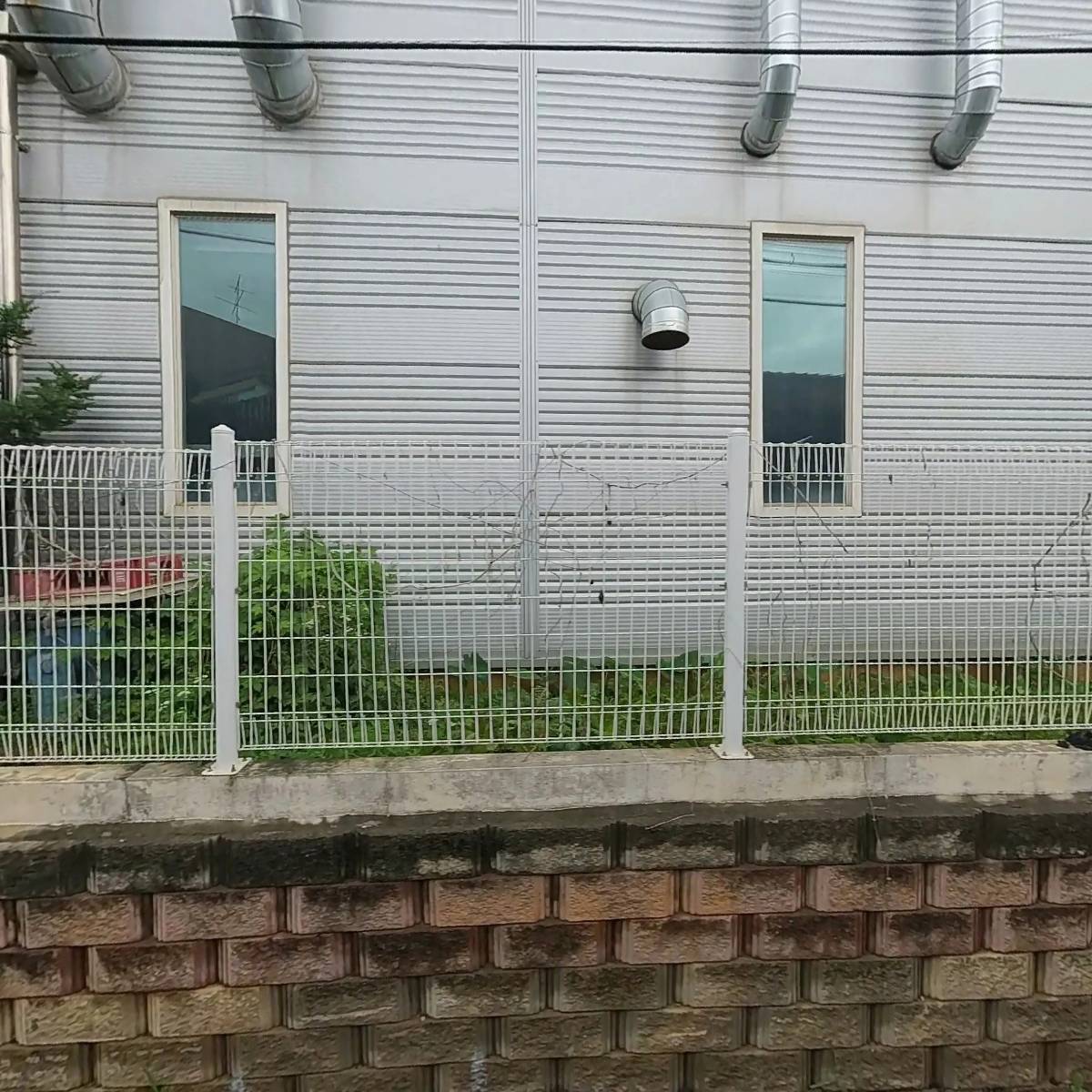 한울식품(조윤성)