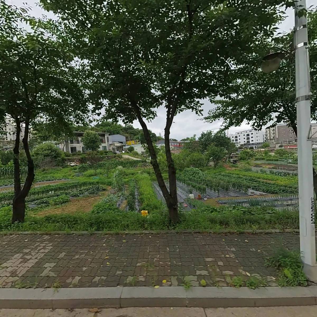 삼지금속