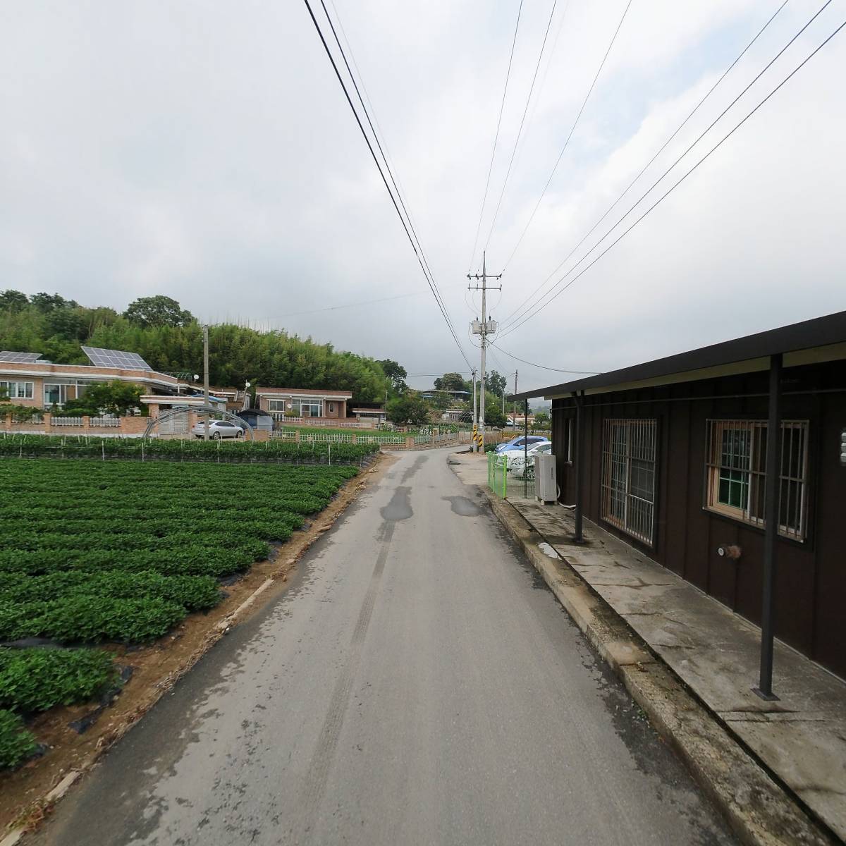 새날성로원_2