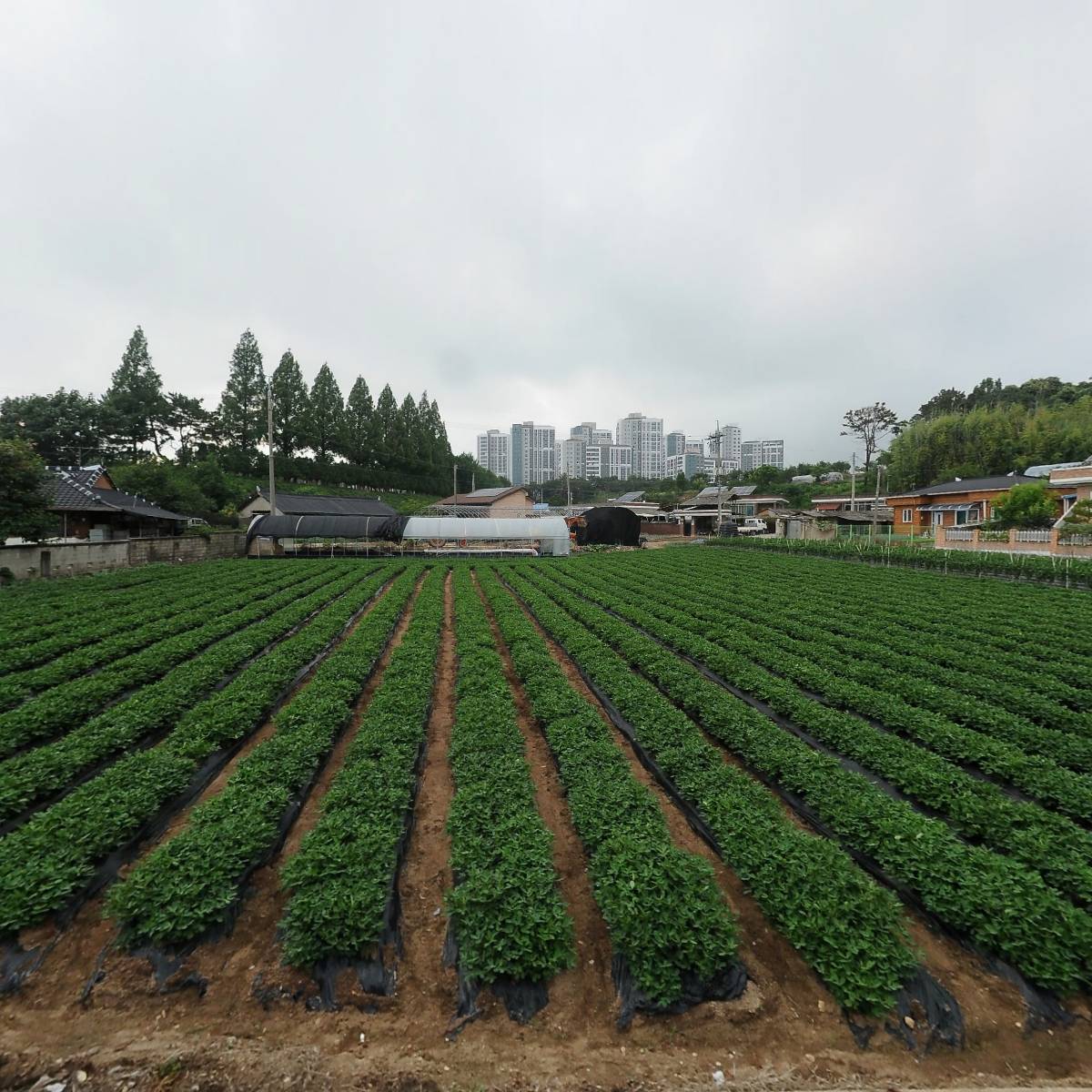 새날성로원