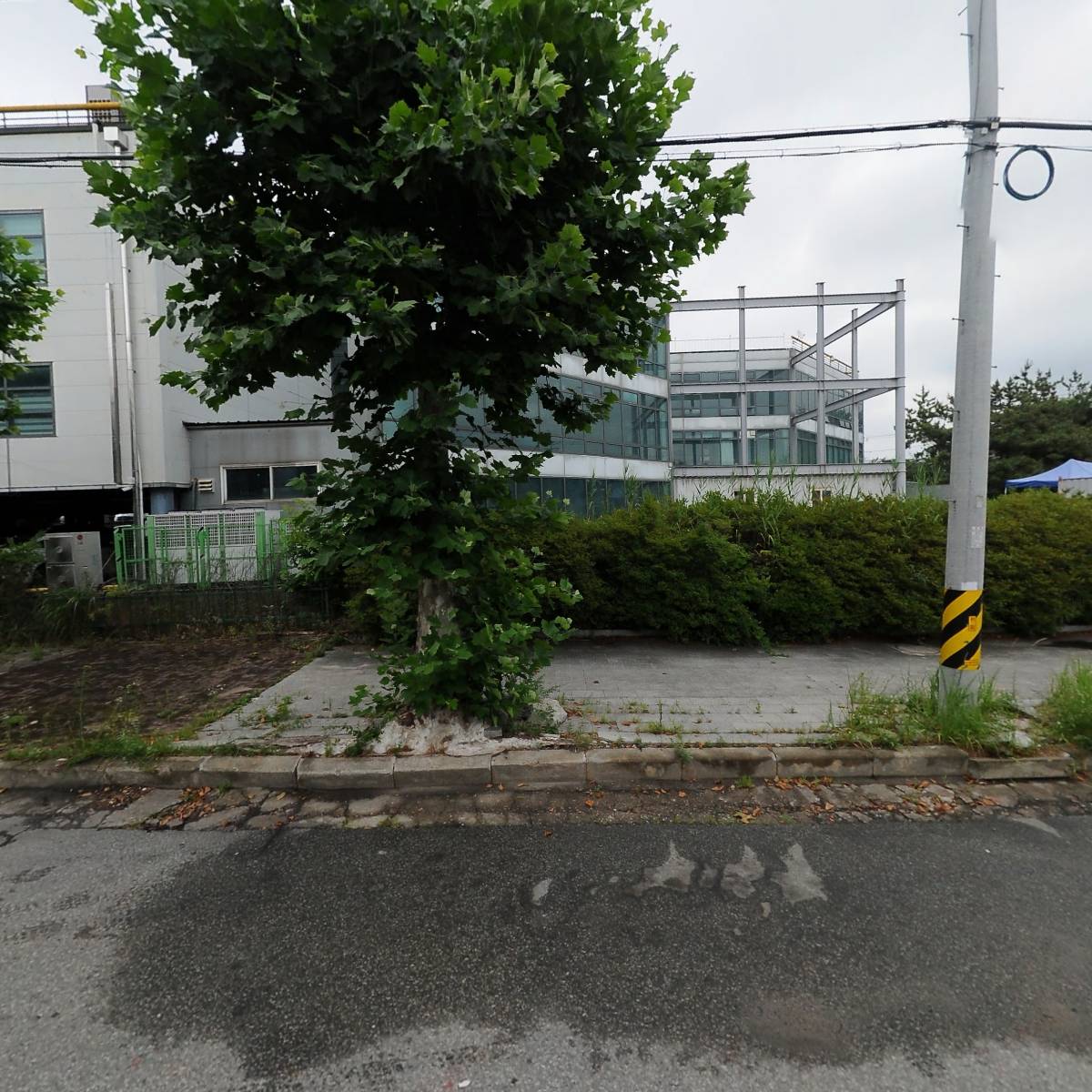 유한회사 청송기업