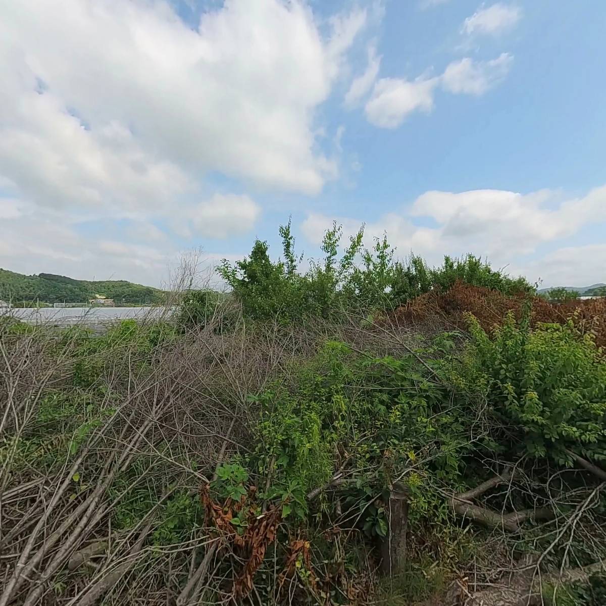 (주)세진산업