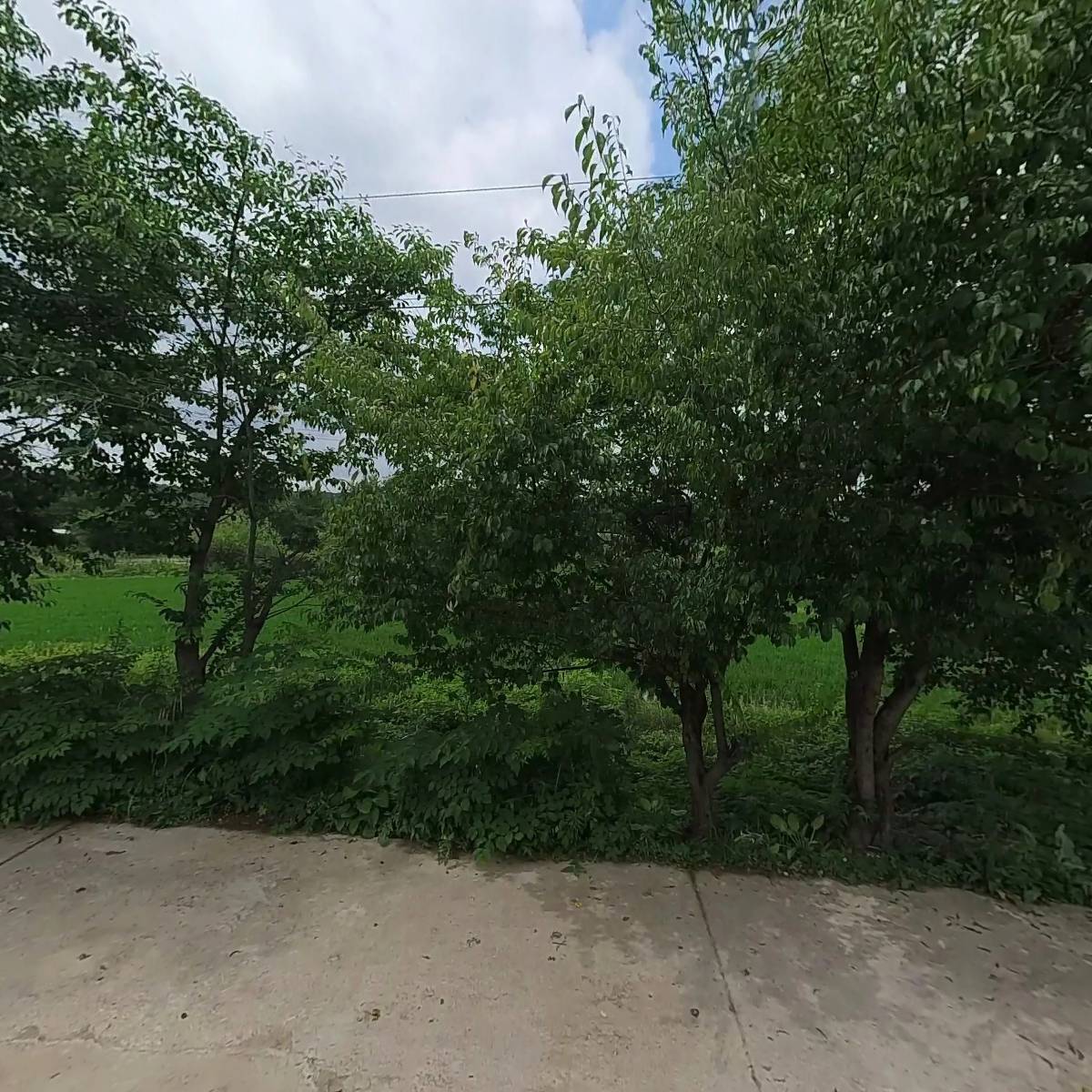 겨자씨 생명교회_3