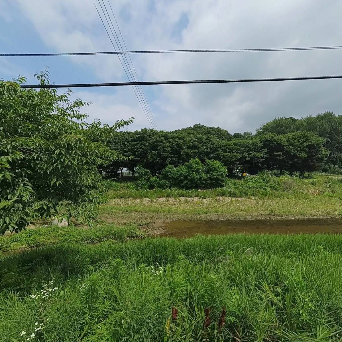 (주)한국코코유리