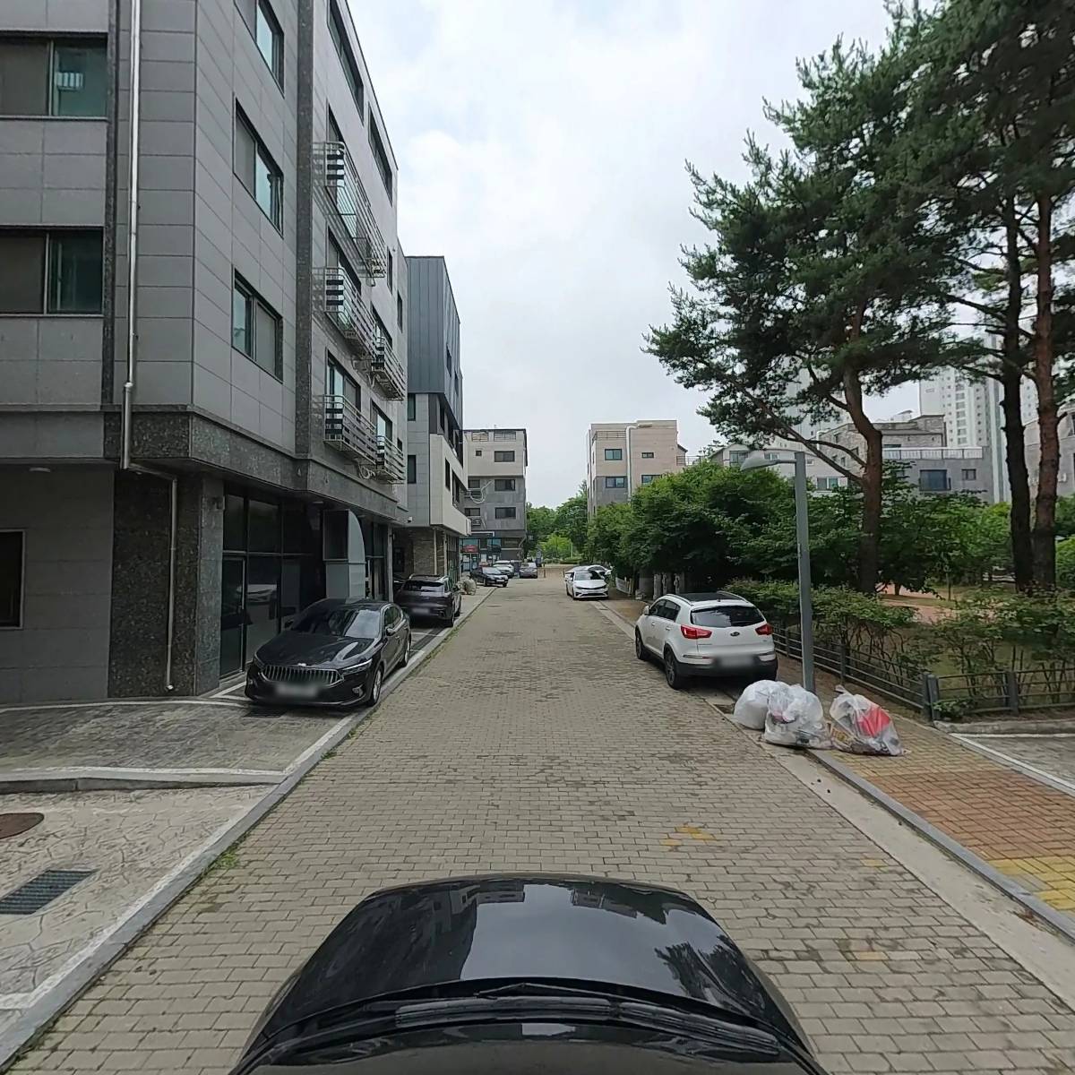 샤크로플_4