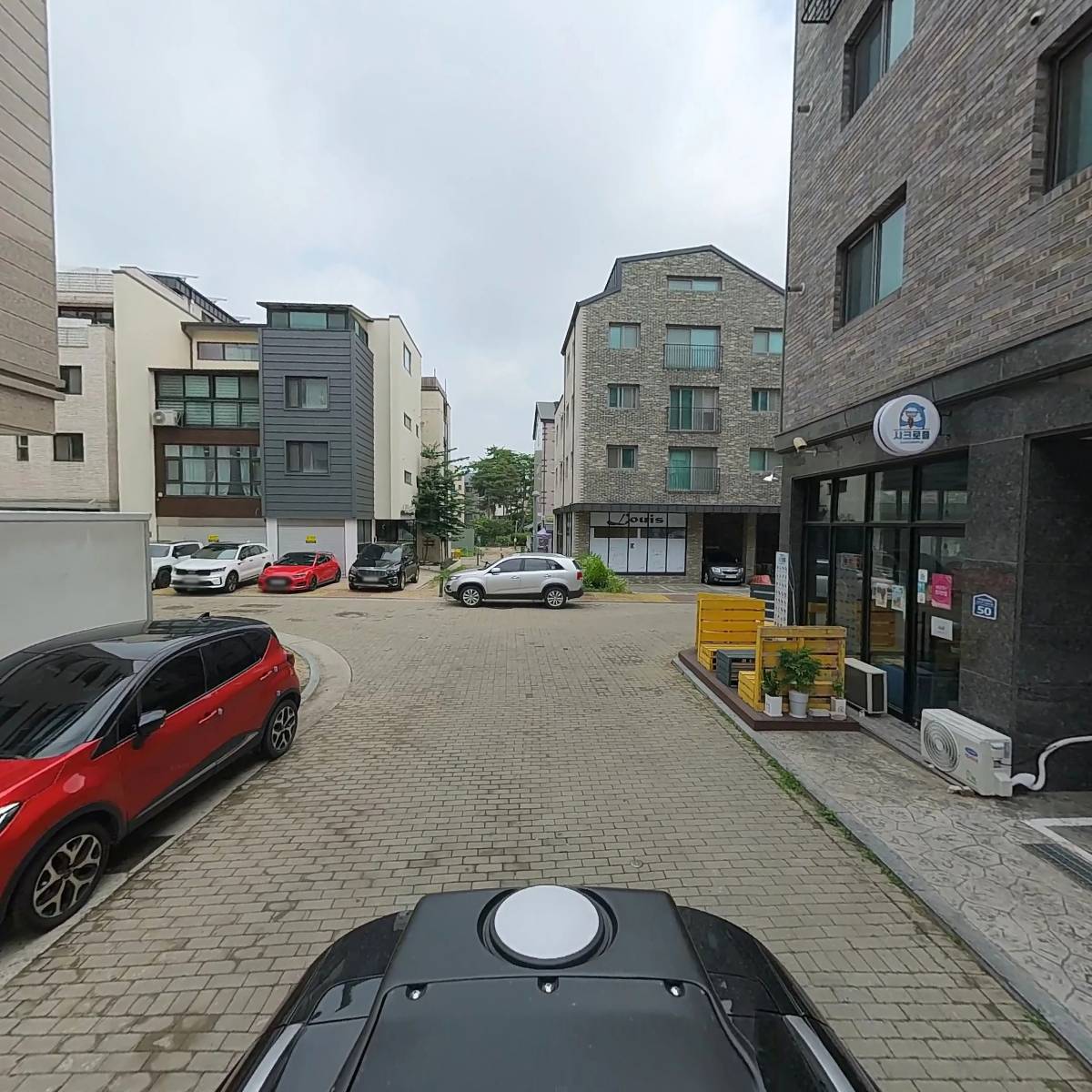 샤크로플_2