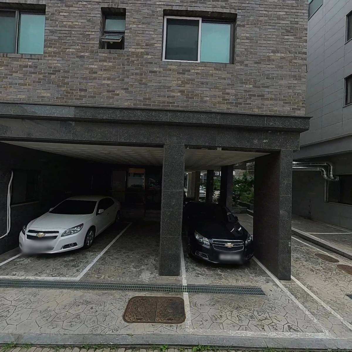 샤크로플_3