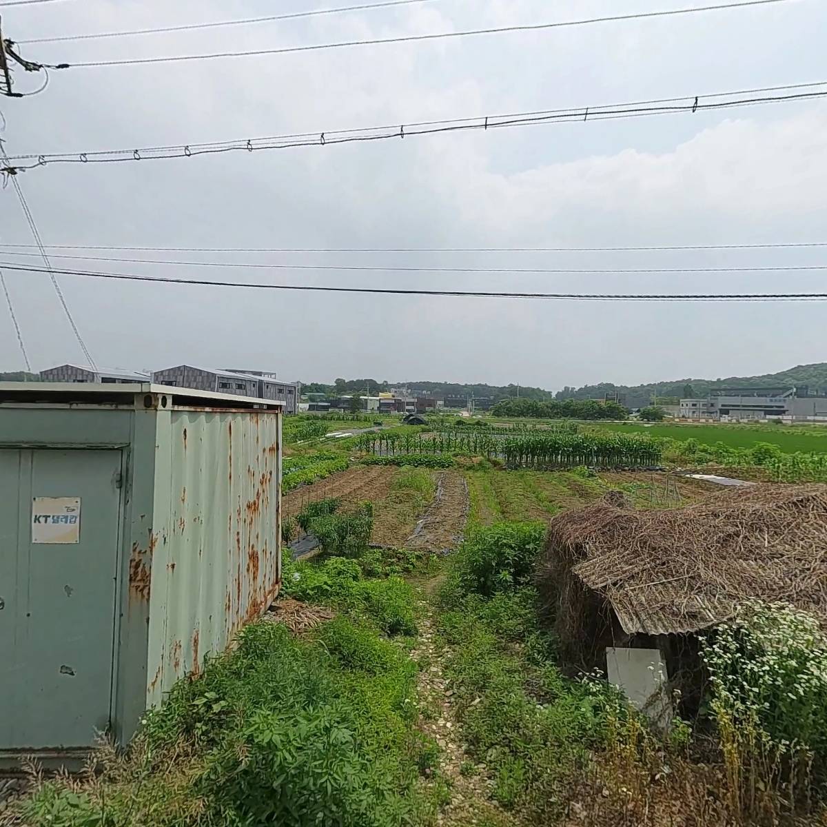대한예수교장로회 제자교회
