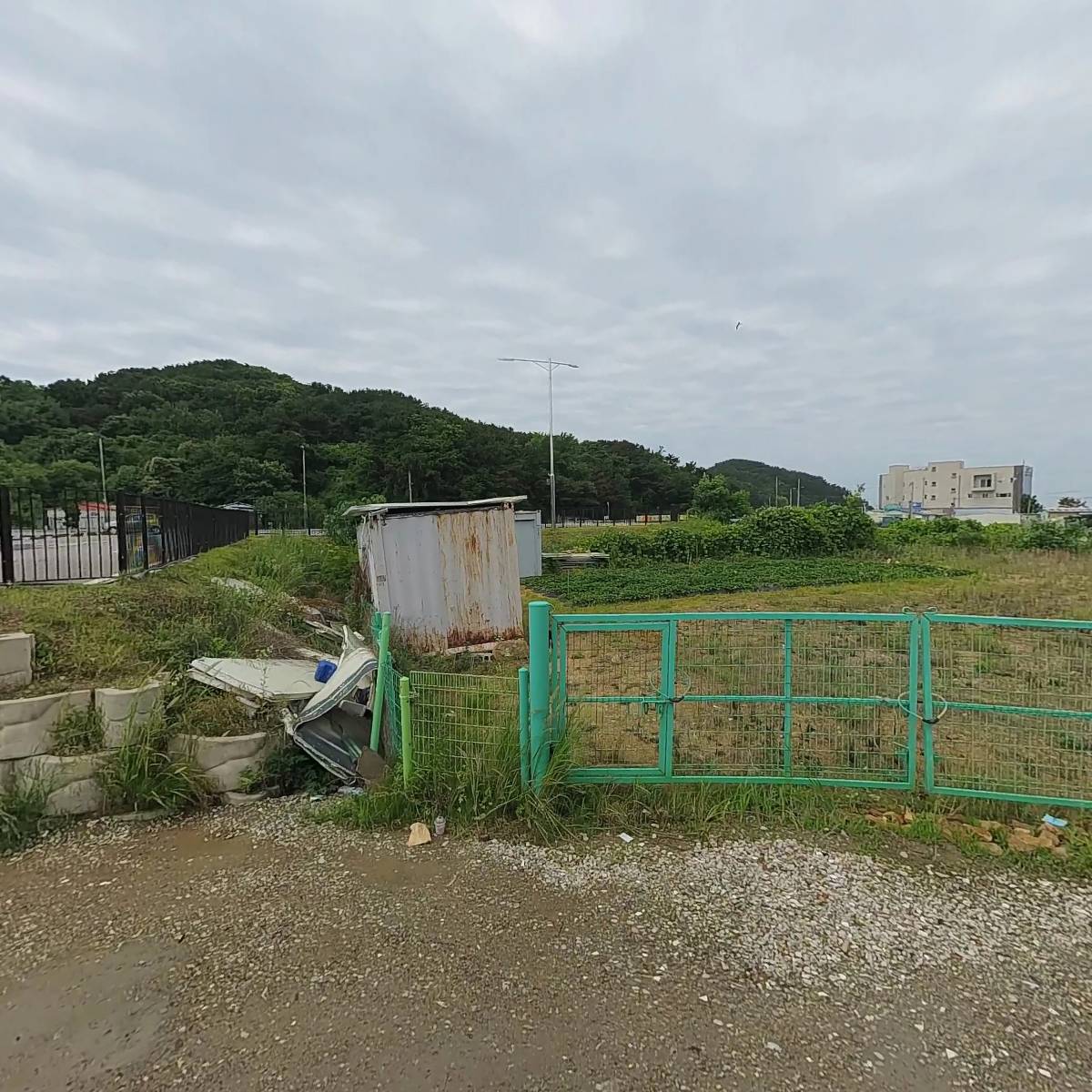 골드리무진여행사