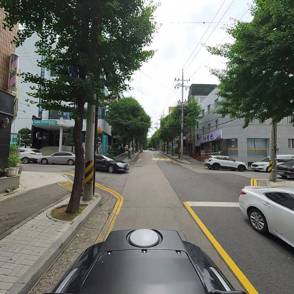 일양_2