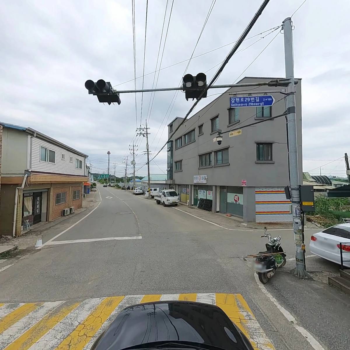 에버그린_4