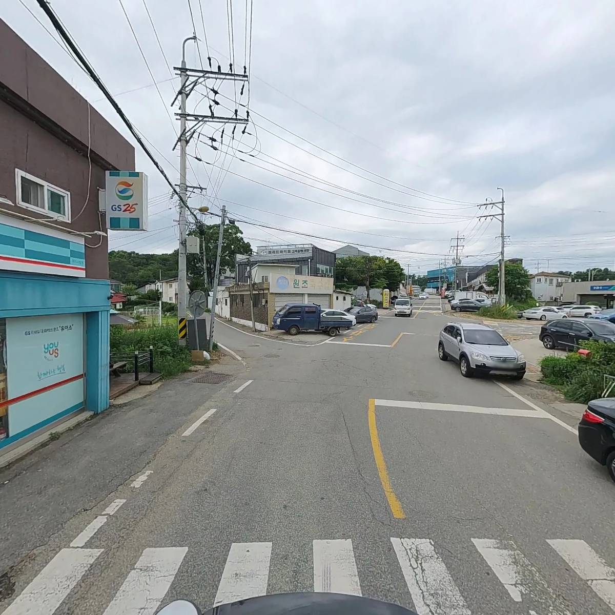 에버그린_2