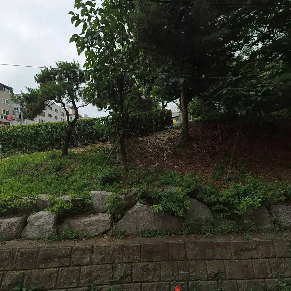 김명자낙지마당_3