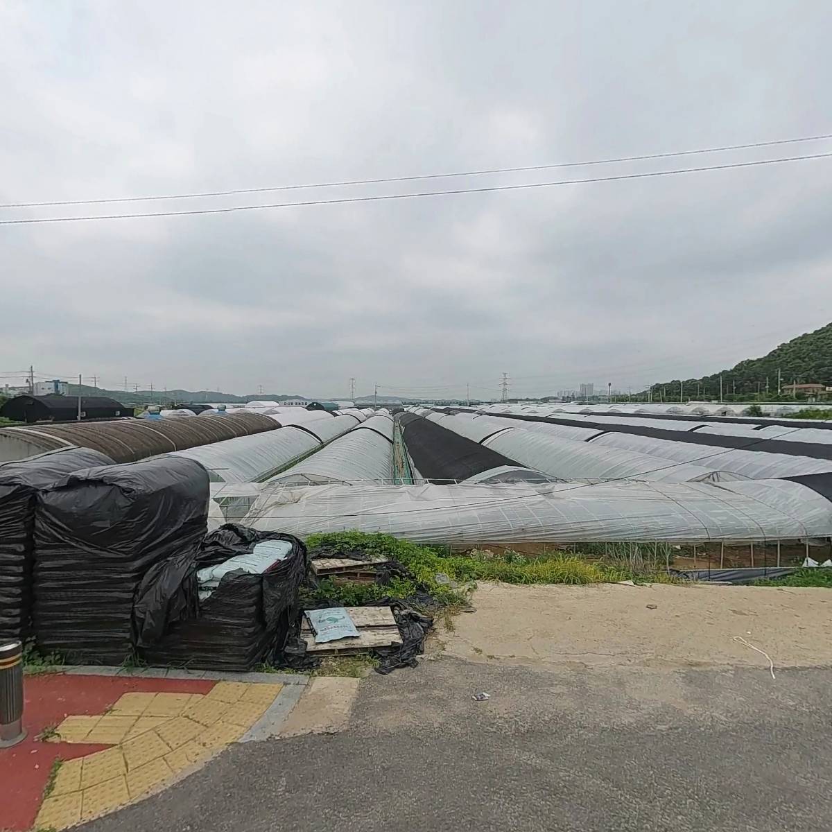 대명수산
