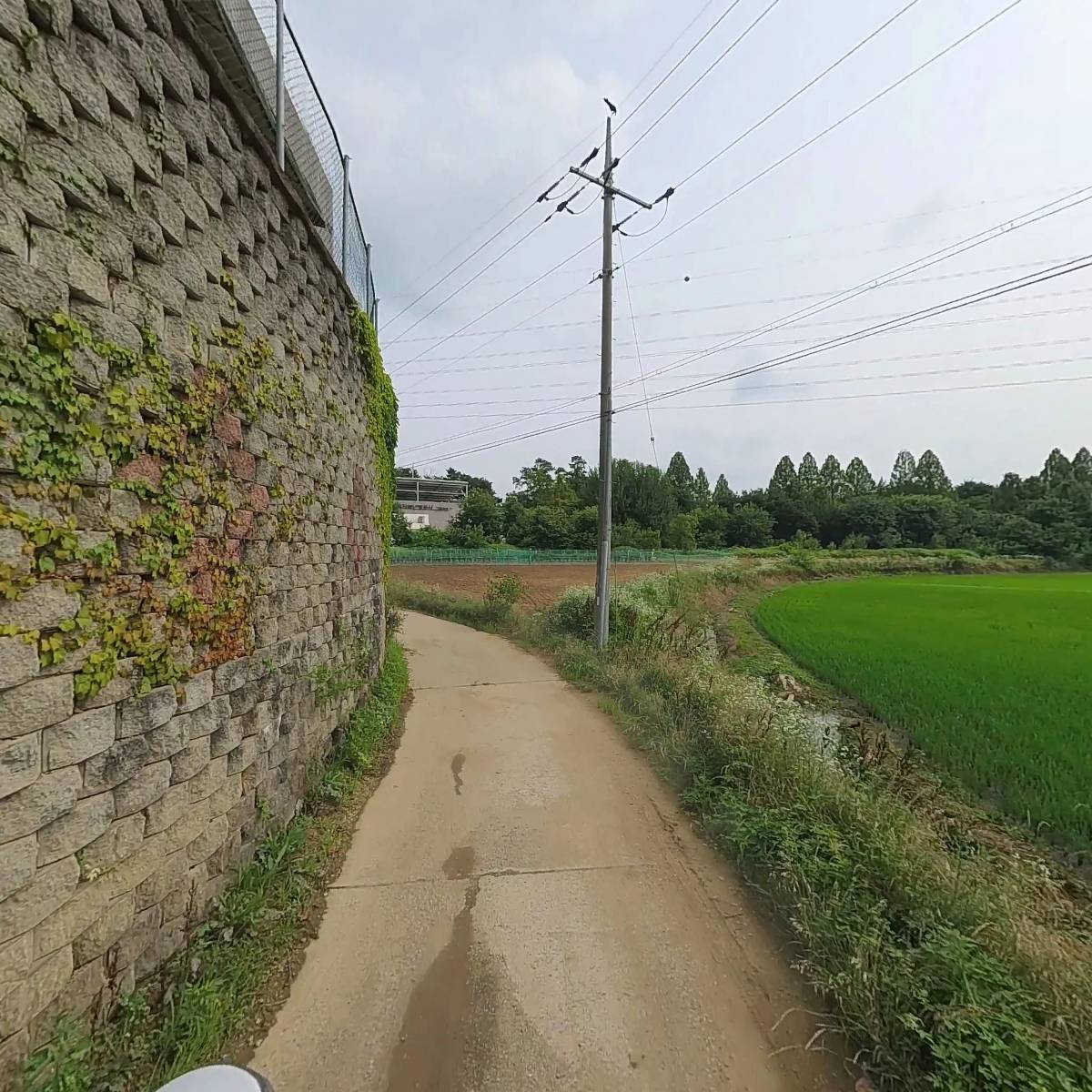 CJ제일제당_2