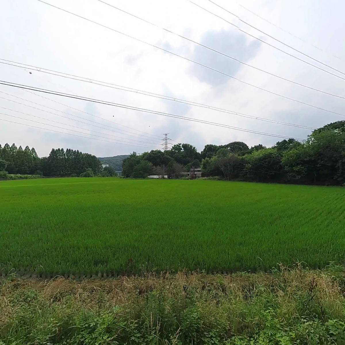 CJ제일제당_3