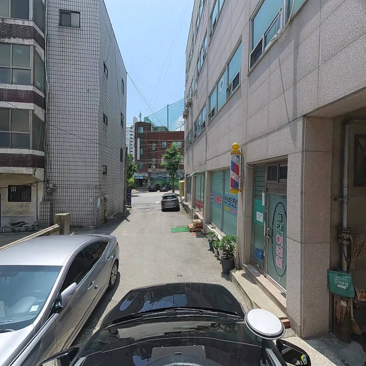 주노_4