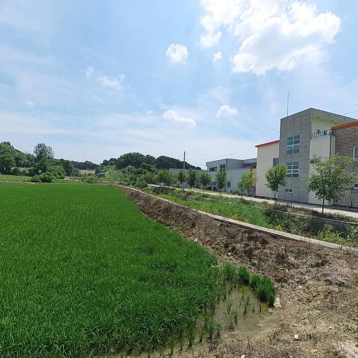 신세계크레인