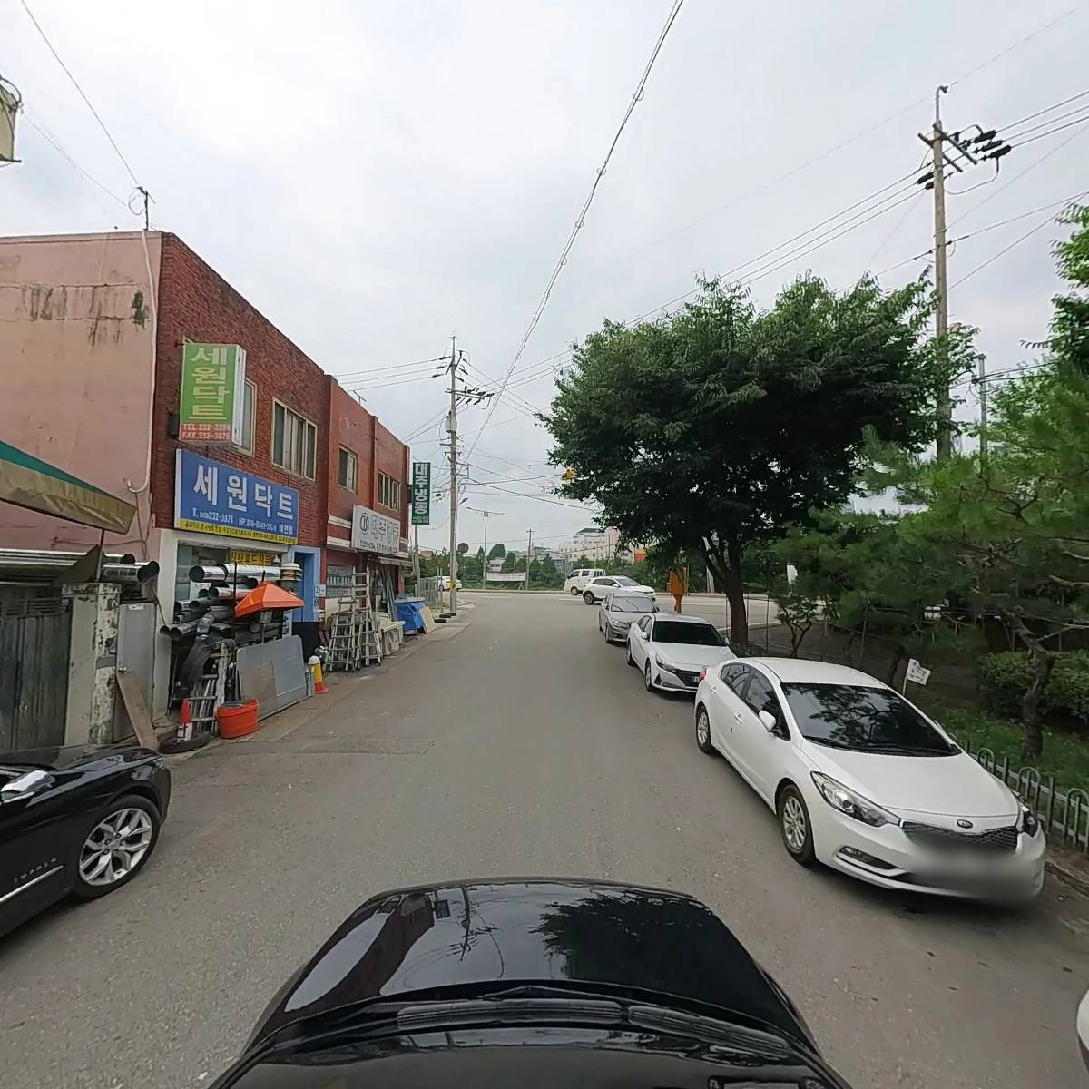 베누스투스_4