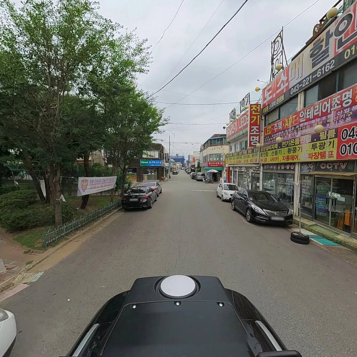 베누스투스_2