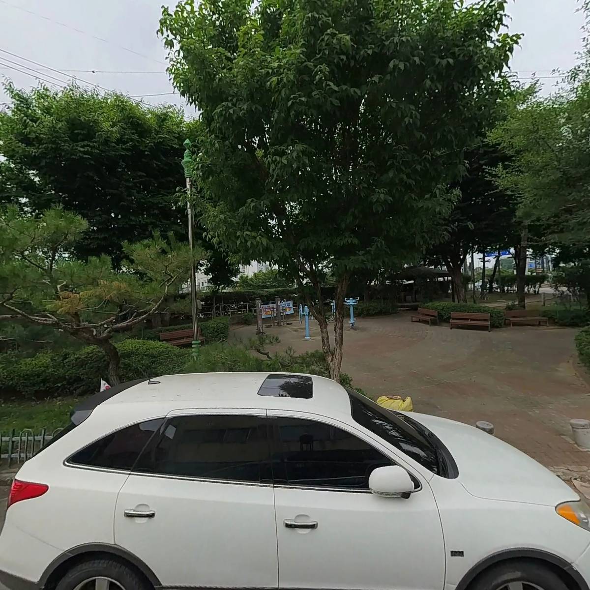 베누스투스