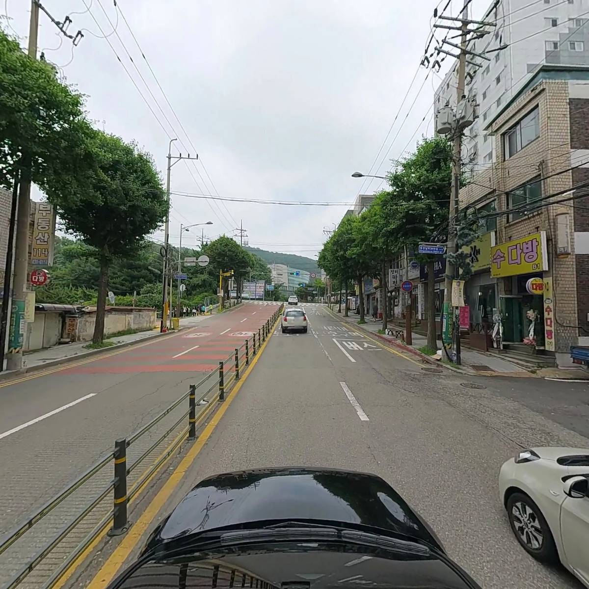 장수염소마을_4