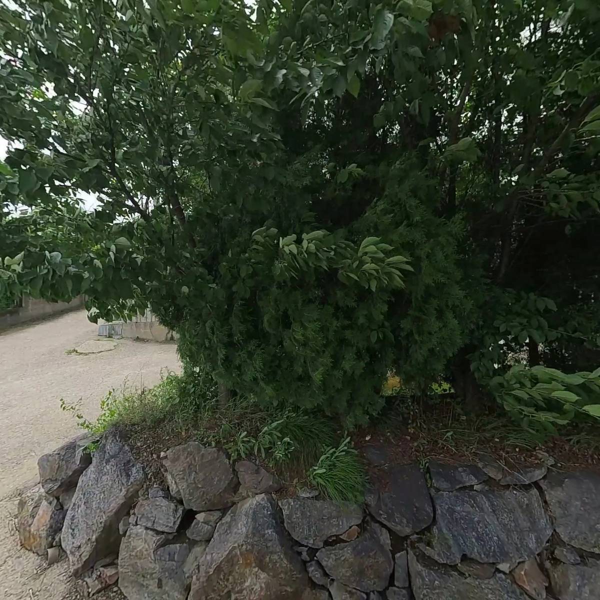 이수진승마클럽
