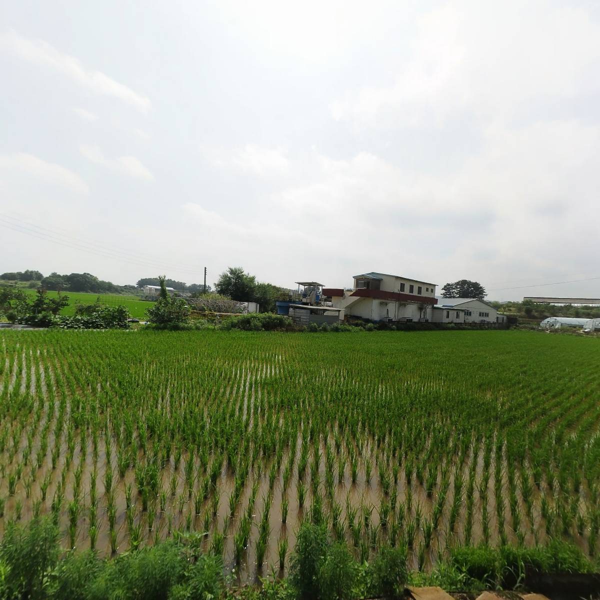 （주）운광 익산공장지점_3