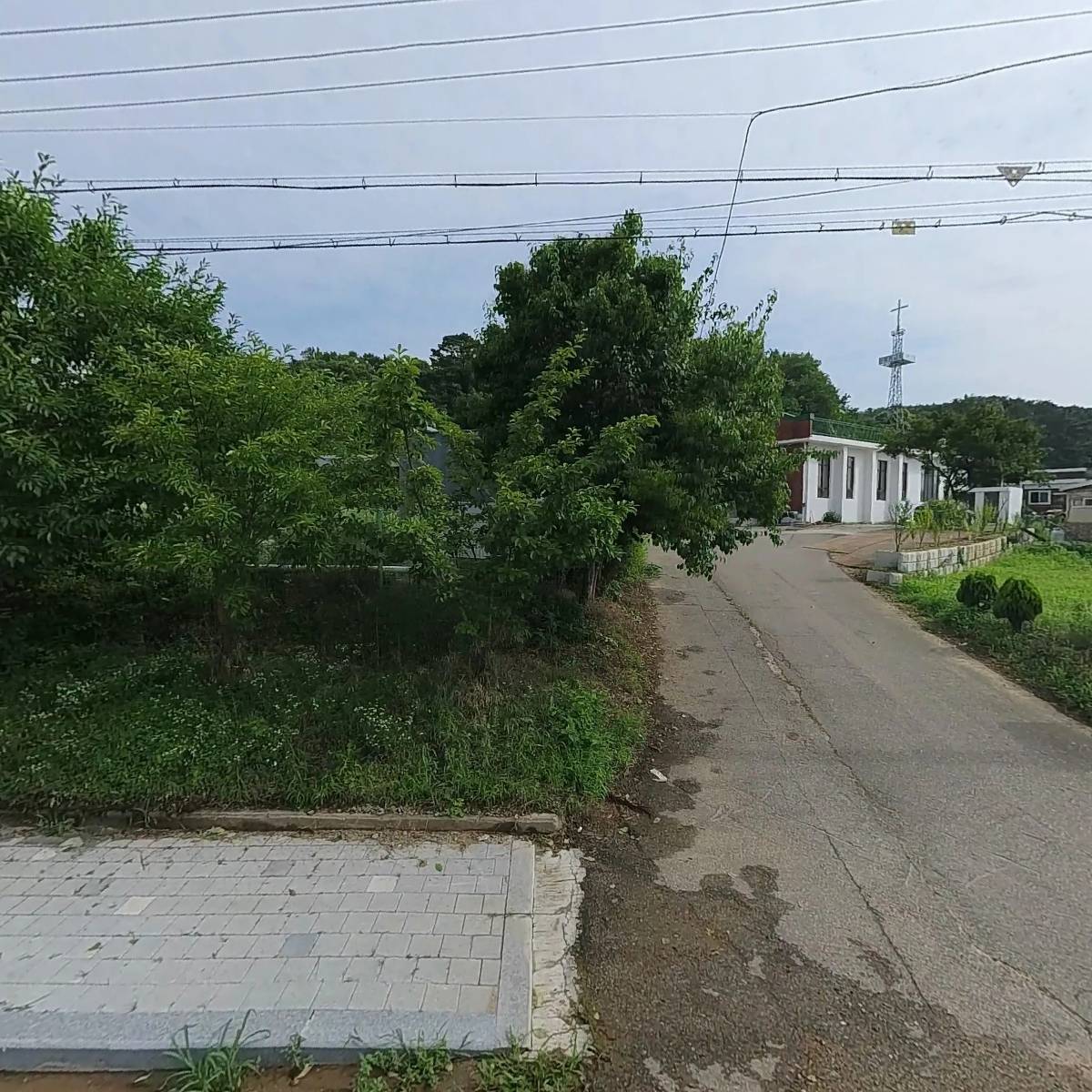 용두성
