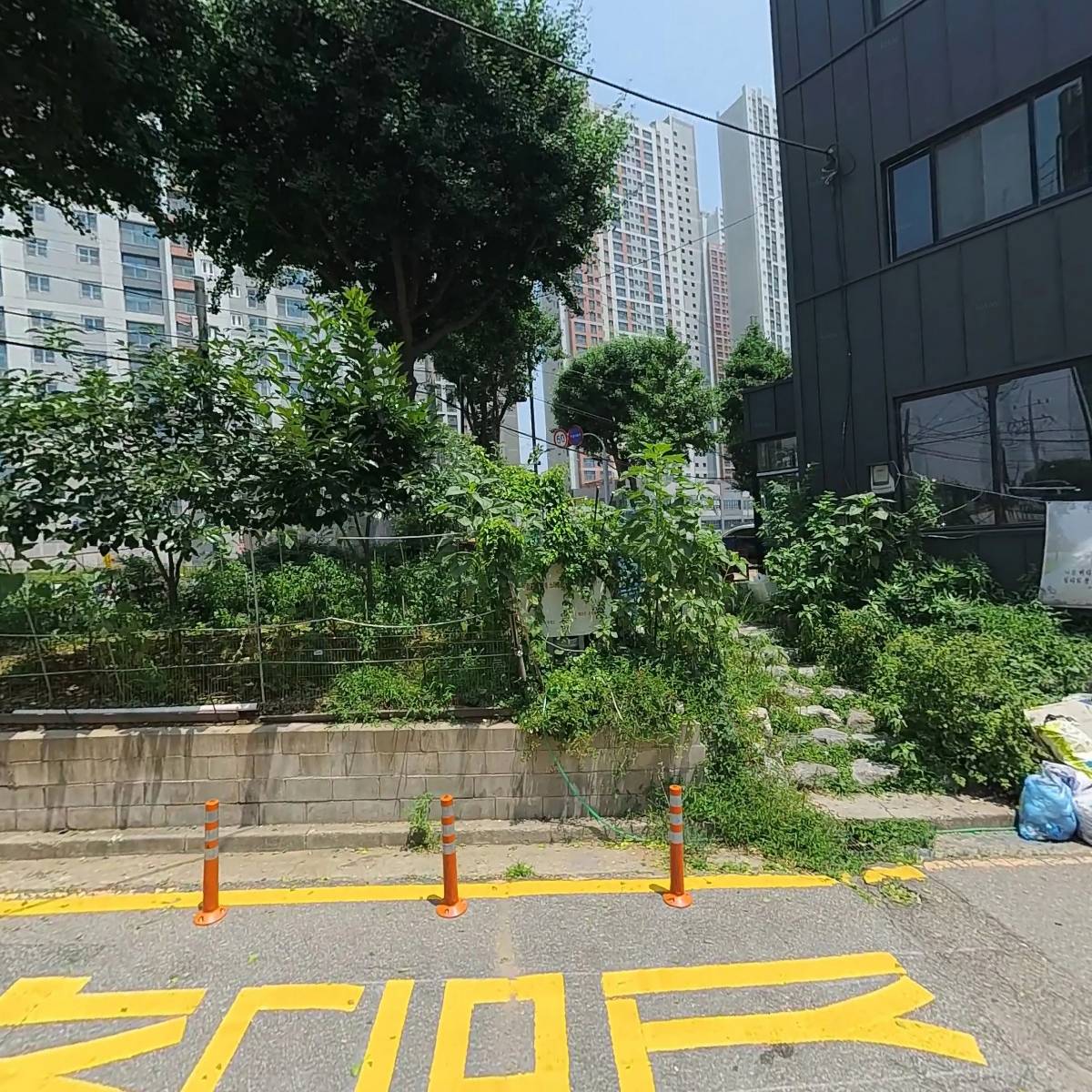 대진이아이티