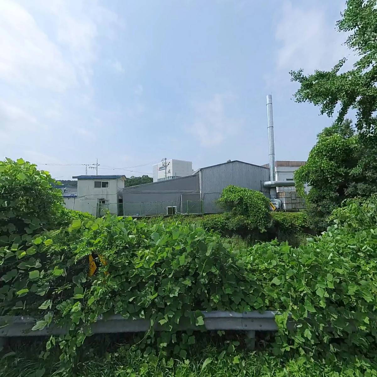 동성몰드