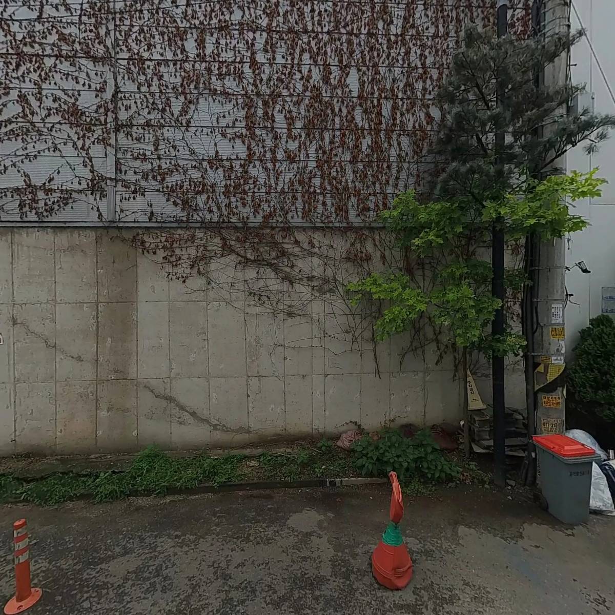 엘빈케어_3