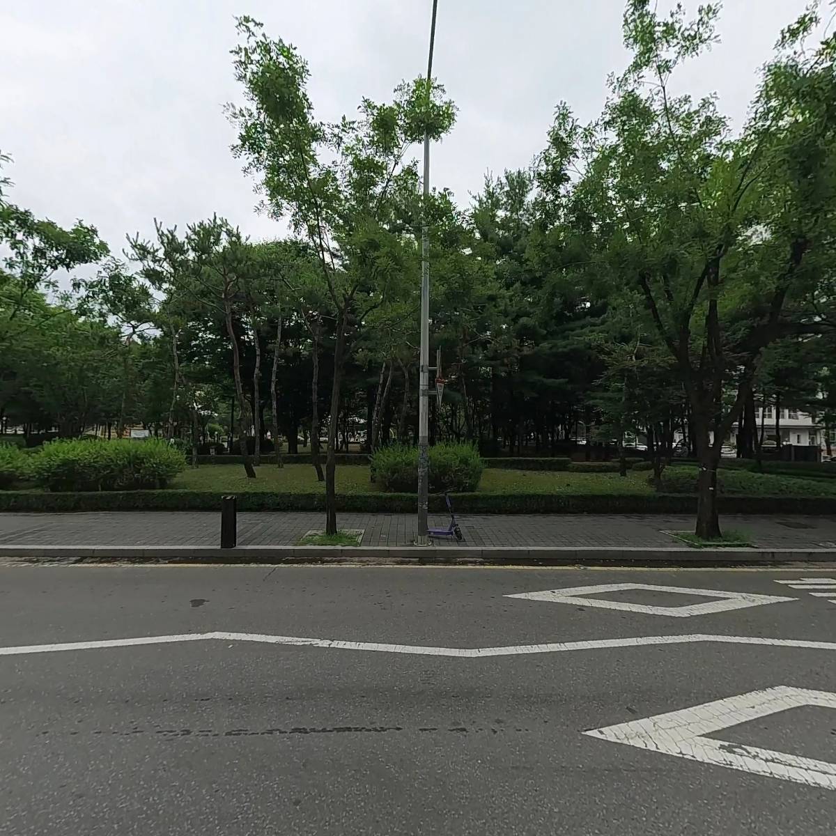 온리움_3
