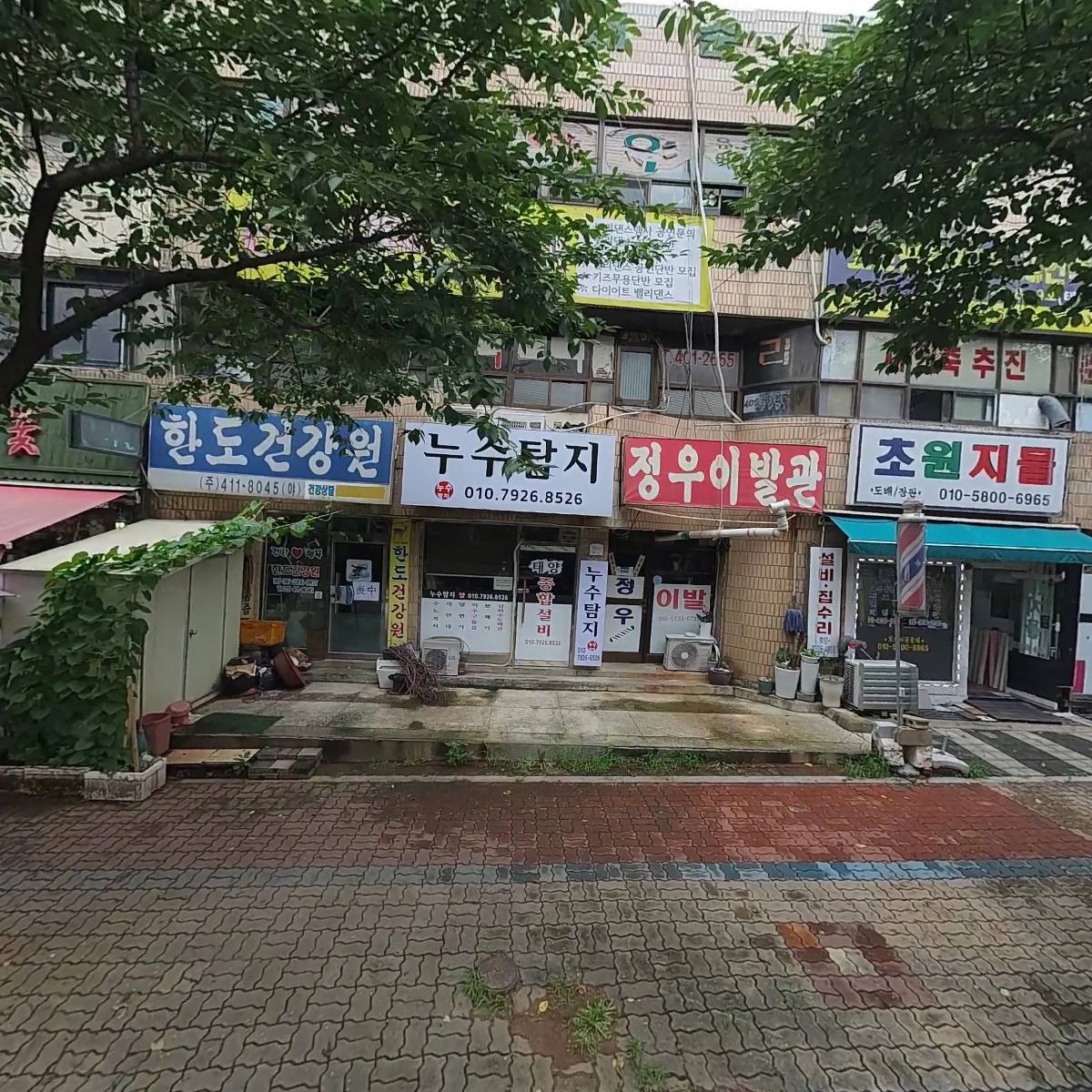 자스민(Jasmine)