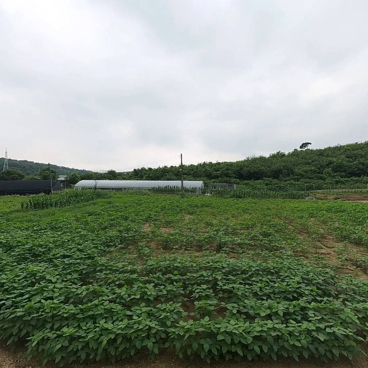 동진조경