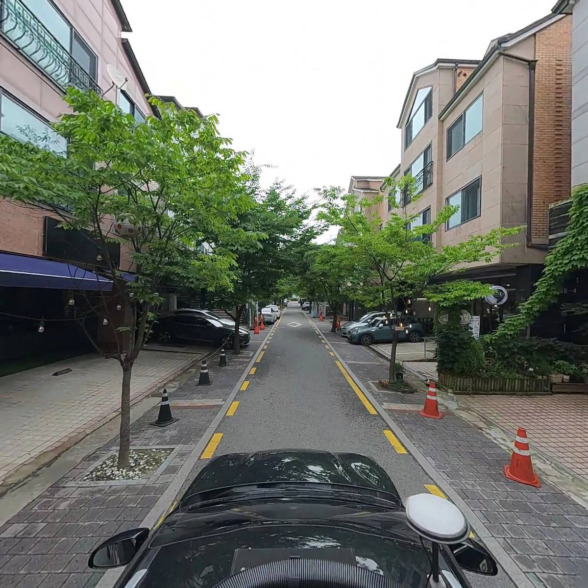 섬게장_4