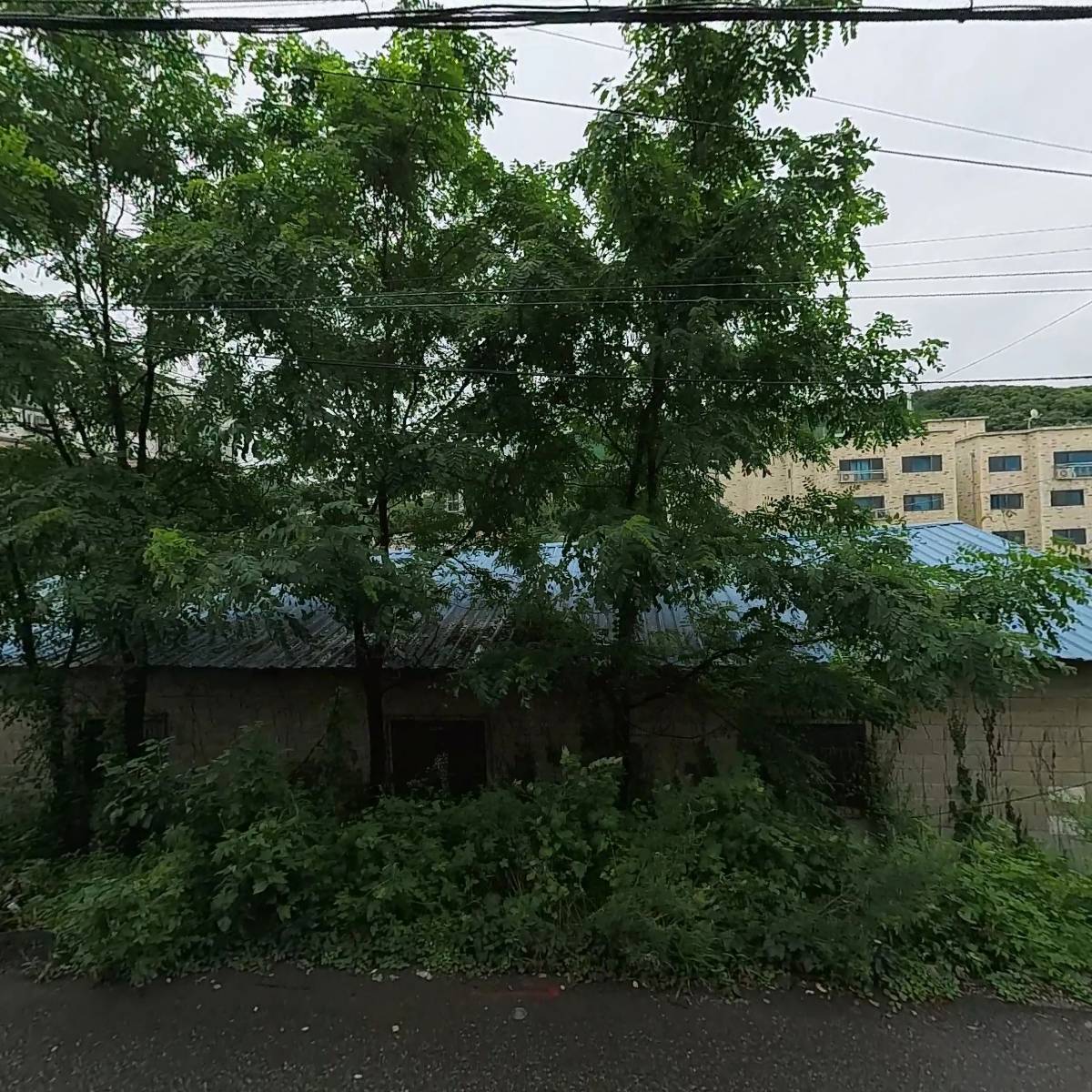 베스트 자동차 유리