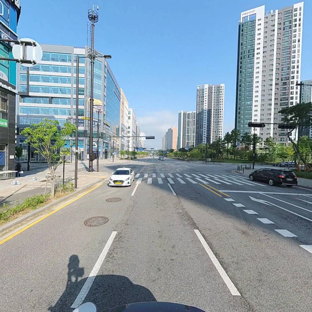 지축 오투 동물의료센터_2