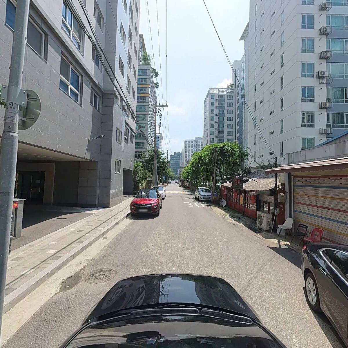 닭장_4