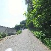 마노코스_2