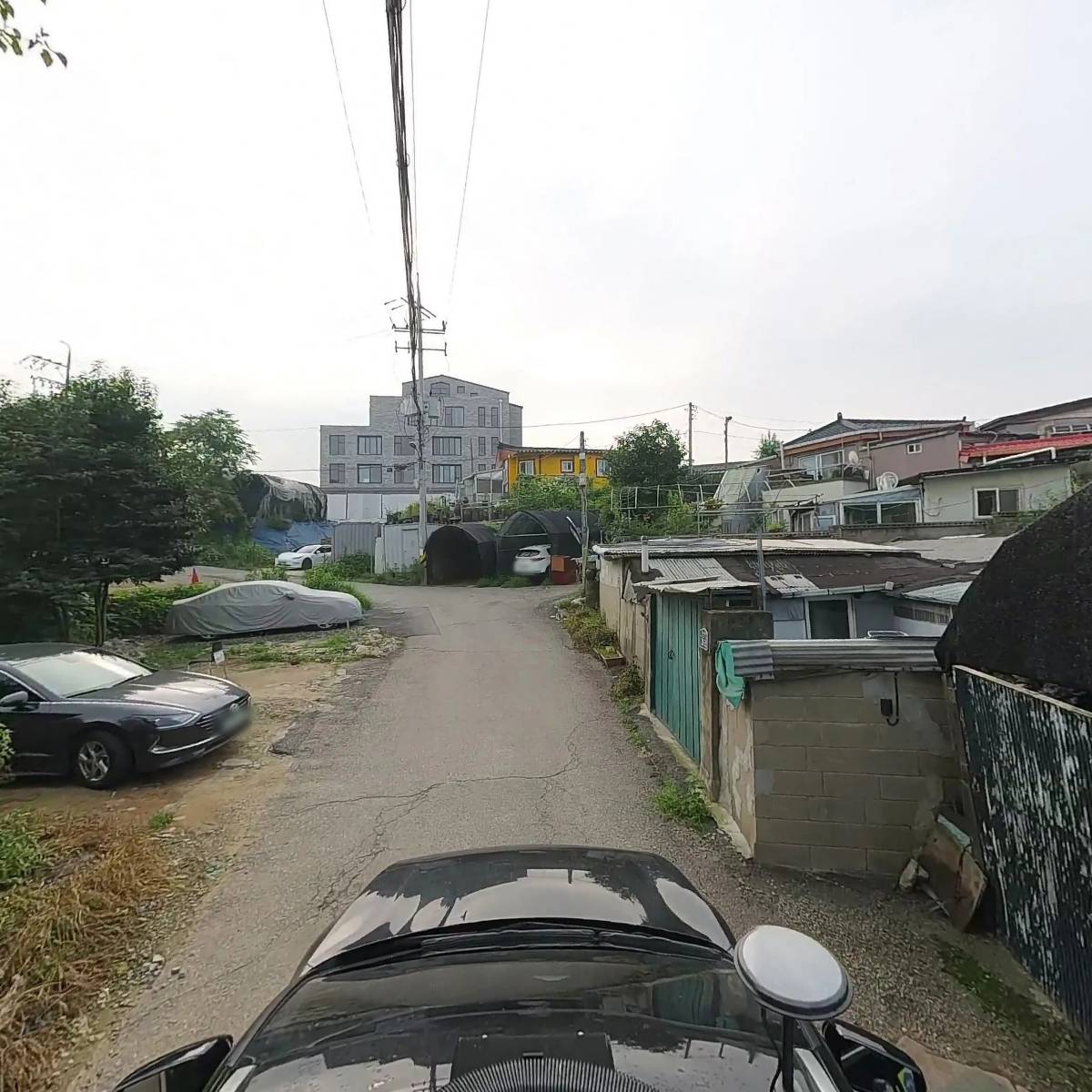 태민화물_4
