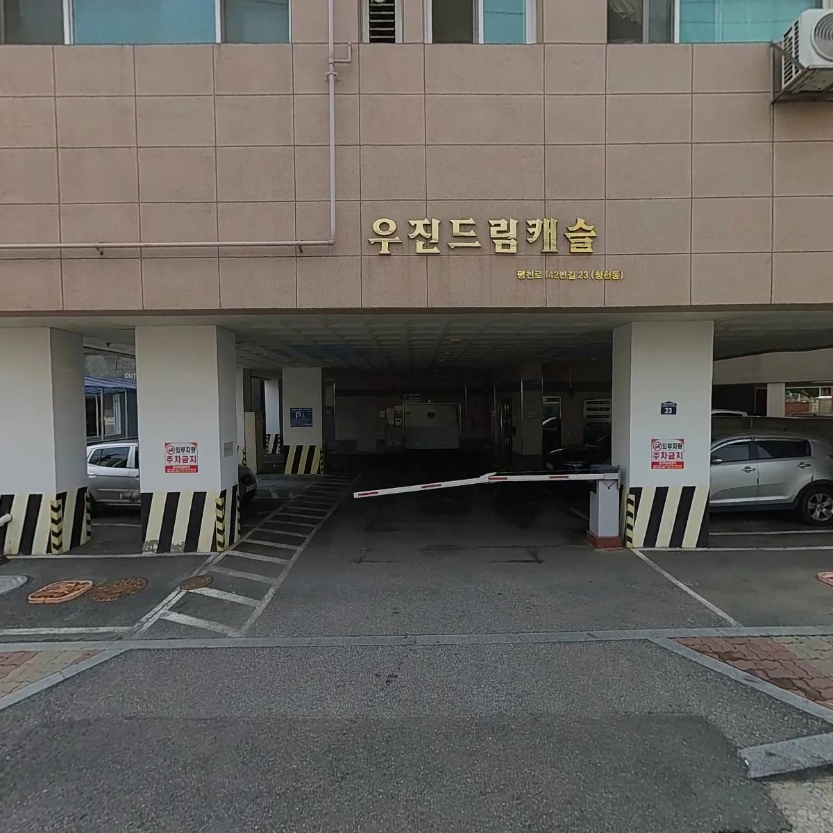 인셀덤 정