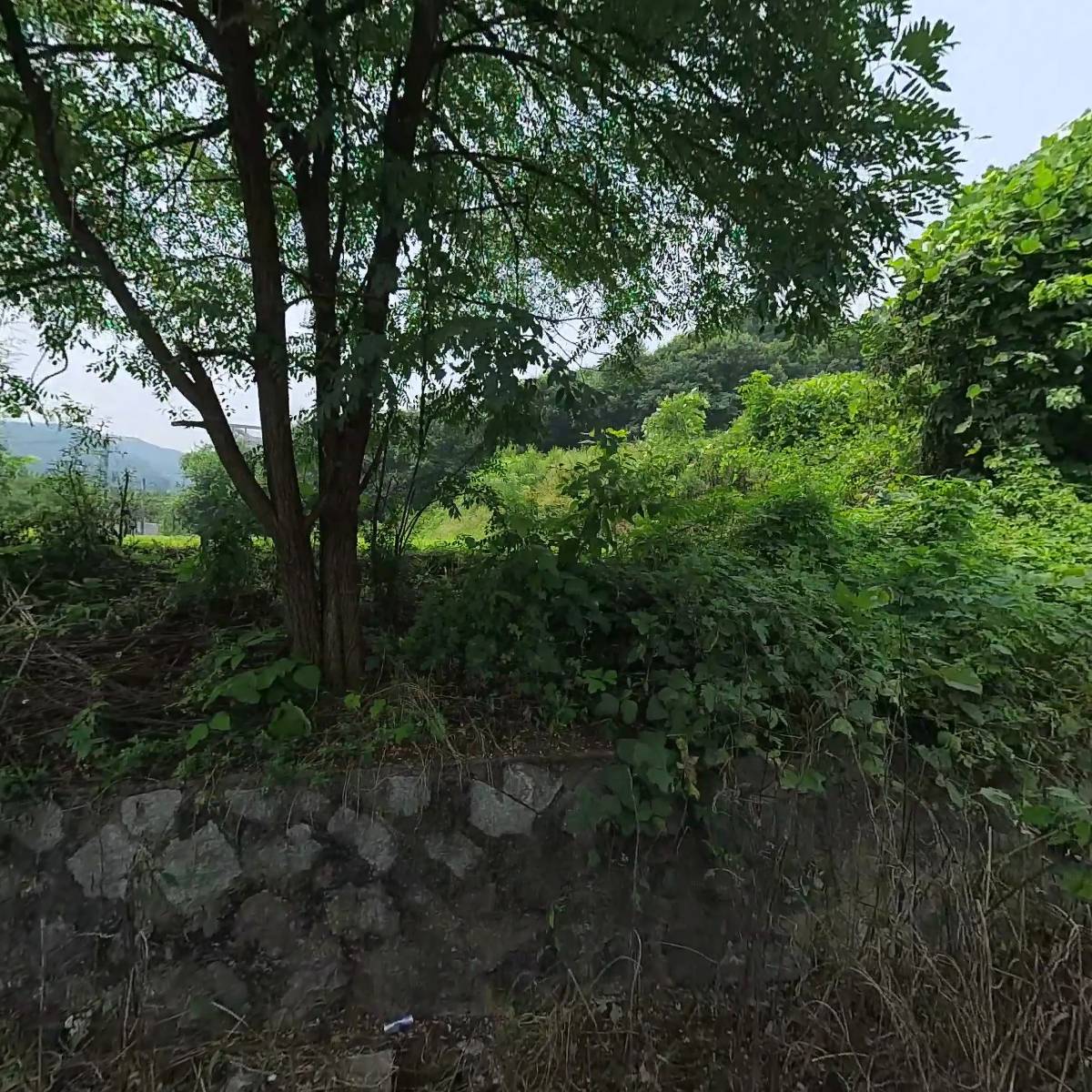 주식회사 에이펙스원_3